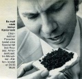 Ameisen-Kaviar-web.jpg